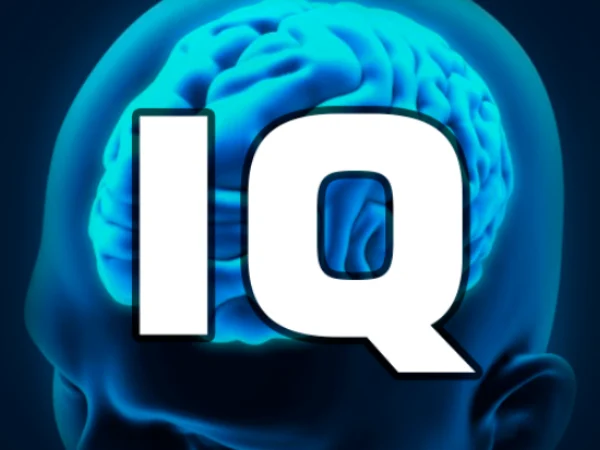 8 Link Tes IQ Online Gratis Terbaik 2024, Uji Tingkat Kecerdasanmu