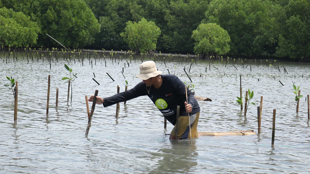 Peringati Hari Bumi Sedunia : Bio Farma Tanam 4000 Mangrove