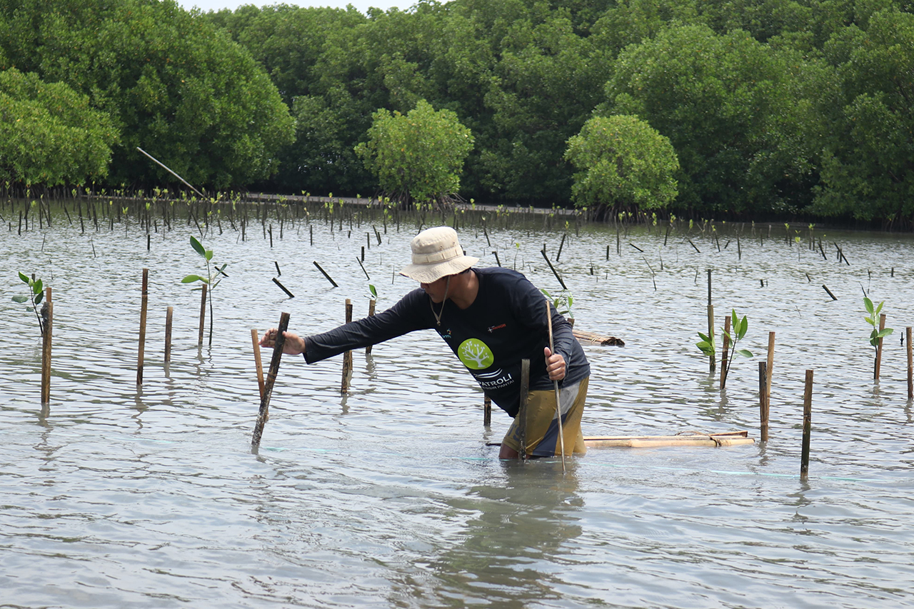 Peringati Hari Bumi Sedunia: Bio Farma Tanam 4000 Mangrove