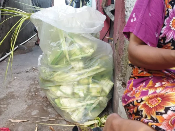 Jumlah produksi janur ketupat di Blok Kupat, Caringin, Kota Bandung menurun pada tahun 2024. Ditenggarai bahan baku yang tidak sebanyak tahun lalu jadi penyebabnya. (Nizar/Jabar Ekspres)