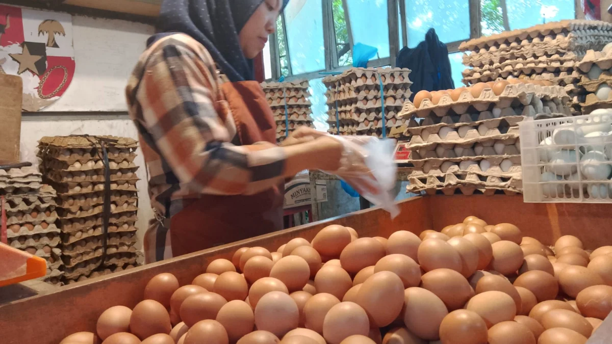 Doc. Pedagang Telur di Pasar Atas Cimahi ungkap Keresahan akan Sepinya Konsumen (Mong)