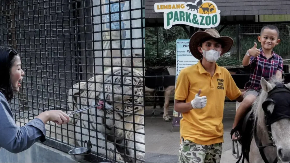 Cek HTM dan Jam Buka Lembang Park & Zoo Terbaru Libur Lebaran 2024/ Kolase Instagram @lembang_parkzoo