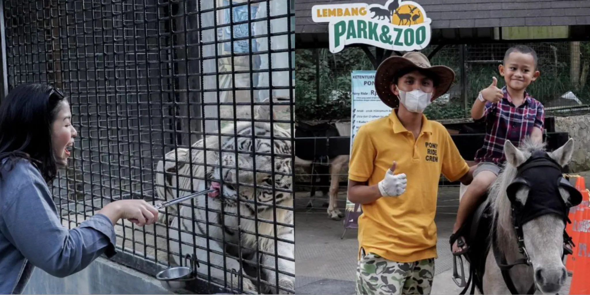 Cek HTM dan Jam Buka Lembang Park & Zoo Terbaru Libur Lebaran 2024/ Kolase Instagram @lembang_parkzoo