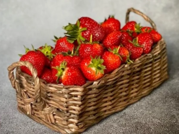 ILUSTRASI Segudang Manfaat dari buah Strawberry. (freepik)
