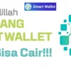 Kabar gembira! Uang Bakal Kembali bagi Korban Investasi Bodong Smart Wallet
