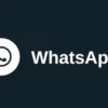 Chat Whatsapp Terhapus Tapi Belum Diback Up ? Begini 2 Cara Mengembalikan Tanpa Ribet