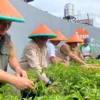 Dinas Ketahanan Pangan dan Peternakan (DKPP) Kota Bandung saat menanam tanaman dalam program Buruan SAE yang masih berjalan guna tekan inflasi. (Nizar/Jabar Ekspres)