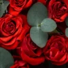 7 Manfaat Menarik dari Bunga Mawar yang Belum Banyak Diketahui