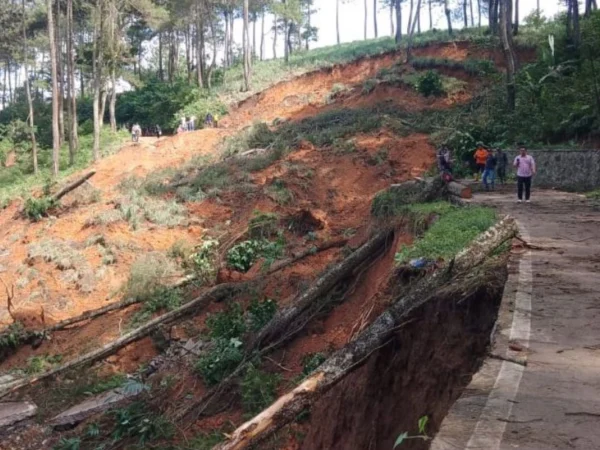 Sebanyak 50 hektar lahan pertanian sawah di Desa Sindangjaya, Kecamatan Gununghalu, KBB terancam gagal panen akibat tertimbun longsor. Dok BPBD KBB