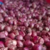 Harga bawang merah di Pasar Tradisional Tagog Padalarang, Bandung Barat kembali mahal. Selasa (28/5). Dok Jabar Ekspres
