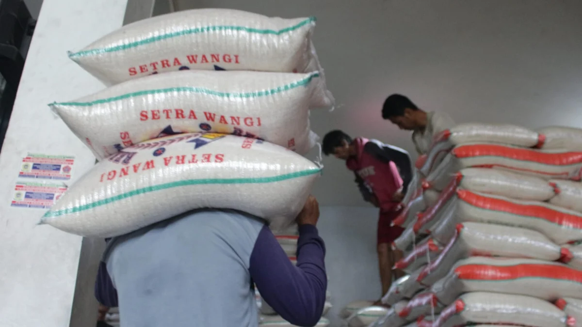 Ilustrasi: Pekerja memikul sejumlah karung beras di salah satu Distributor Beras se Bandung Raya. (Pandu Muslim/Jabar Ekspres)