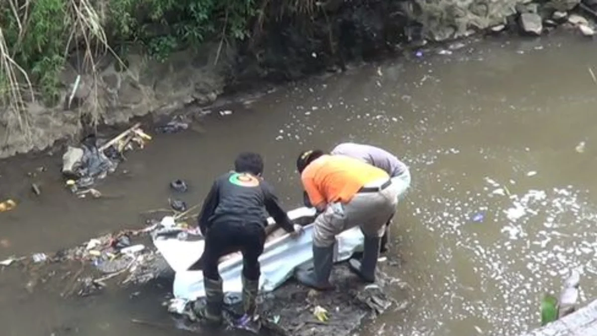 Viral Penemuan Mayat Pria di Sungai Cikendal Bandung Gegerkan Warga
