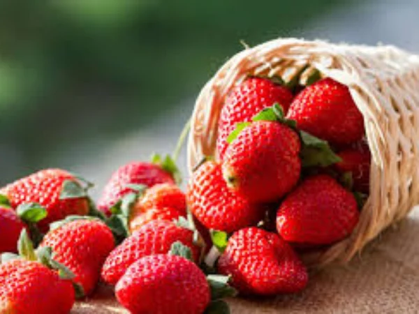 Manfaat Buah Strawberry untuk Kesehatan dan Kecantikan
