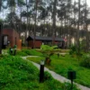 5 Hotel Menawan di Tengah Hutan Bandung Cocok untuk Staycation, Ini Daftarnya