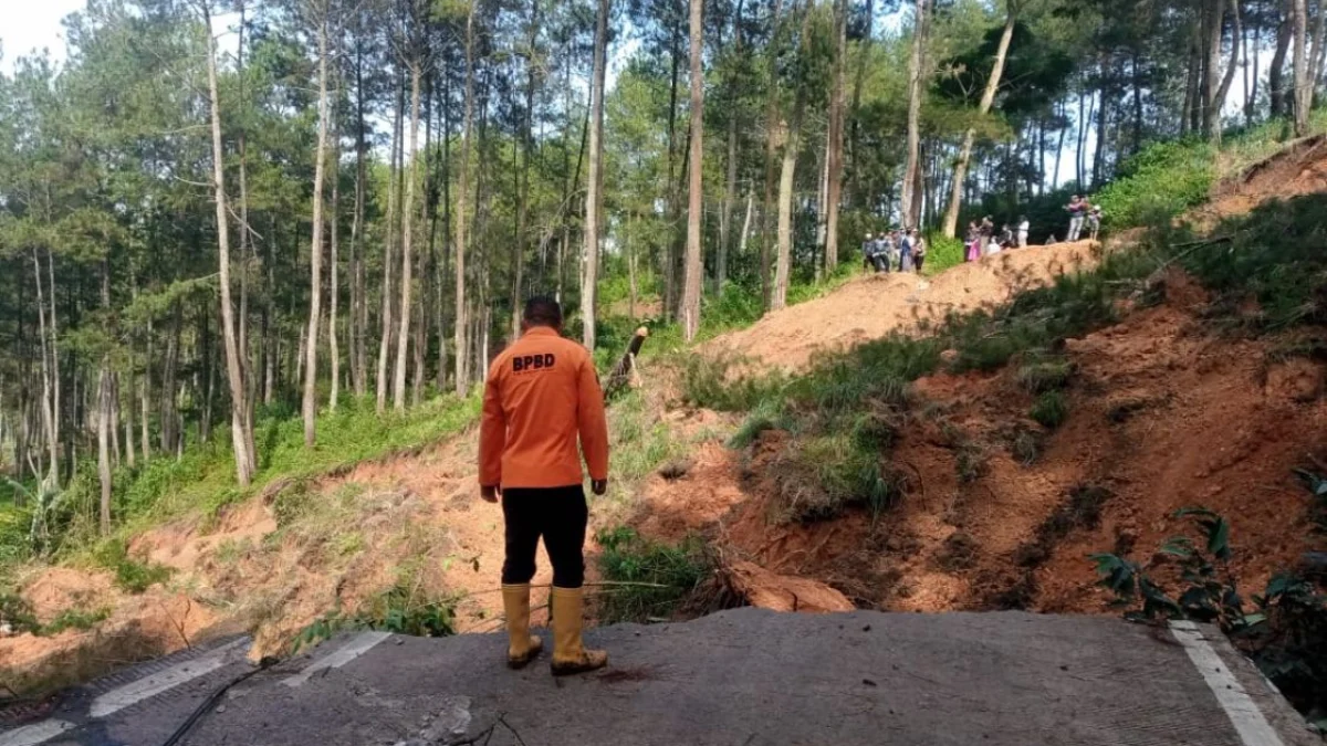 Petugas lapangan BPBD Bandung Barat, saat meninjau lokasi putusnya jalan akibat longsor di wilayah Kecamatan Gununghalu. Rabu (15/5/2024).
