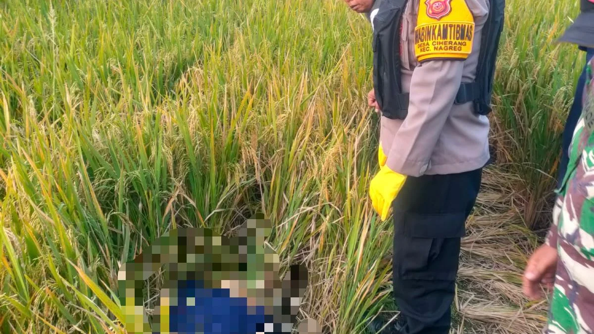 Petugas kepolisian saat akan mengevakuasi mayat wanita paruh baya ditemukan meninggal di pematang sawah di Nagreg, Kabupaten Bandung, Minggu (19/5). Foto Istimewa