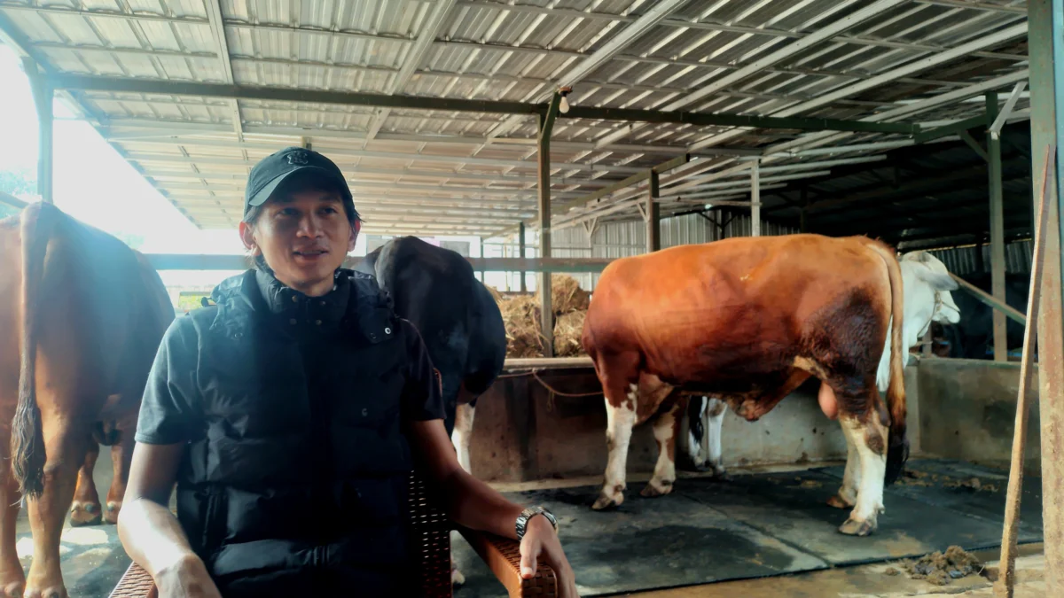 Hilman Bagja (29), peternak muda asal Dusun Cukang Lemah, RT02 RW08, Desa Raharja, Kecamatan Tanjungsari, Kabupaten Sumedang. (Yanuar/Jabar Ekspres)