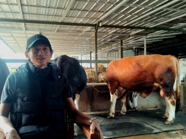 Hilman Bagja (29), peternak muda asal Dusun Cukang Lemah, RT02 RW08, Desa Raharja, Kecamatan Tanjungsari, Kabupaten Sumedang. (Yanuar/Jabar Ekspres)