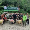 Serah terima simbolis 37 kambing kurban kepada Pemdes Cibeurem, Kecamatan Cisarua, Minggu (16/6/2024). Dok. Humas TSI