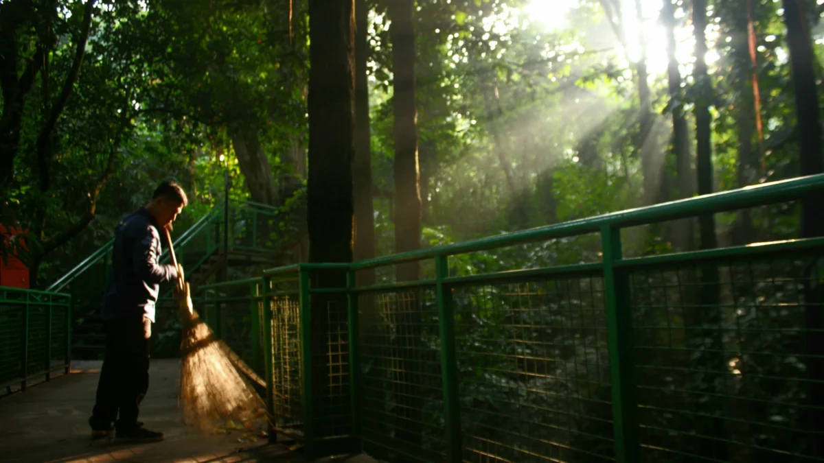 LESTARI : Pegawai DPKP Kota Bandung membersihkan forest walk di Hutan Kota Babakan Siliwangi, Kota Bandung, Sabtu (15/6). Kelestarian hutan kota itu terus dijaga oleh Pemkot Bandung. Kawasan itu menjadi spot olah raga di pusat kota dengan udara yang segar. (Hendrik Muchlison)