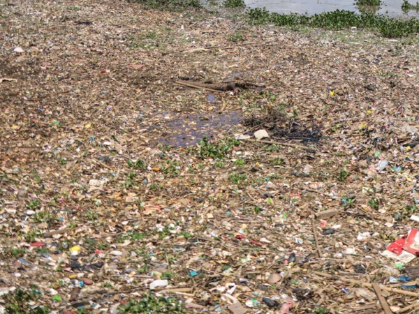 Viral Sungai Citarum Kembali Dipenuhi Sampah Usai Dibersihkan