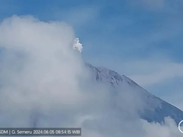 Gunung Semeru erupsi dengan tinggi kolom letusan teramati sekitar 500 meter di atas puncak pada Rabu (5/6) pukul 08.53 WIB. Foto/ANTARA