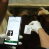 Petugas DKPP menambahkan hewan qurban yang sudah sehat layak melalui aplikasi e-selamat di Peternakan Sapi kawasan Pasanggrahan, Kota Bandung. (Pandu Muslim/Jabar Ekspres)