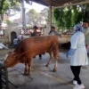 Doc. Pendampingan Dokter Hewan Dinas Ketahanan Pangan dan Pertanian (Dispangtan) di Masjid Alun-Alun Cimahi (Mong)