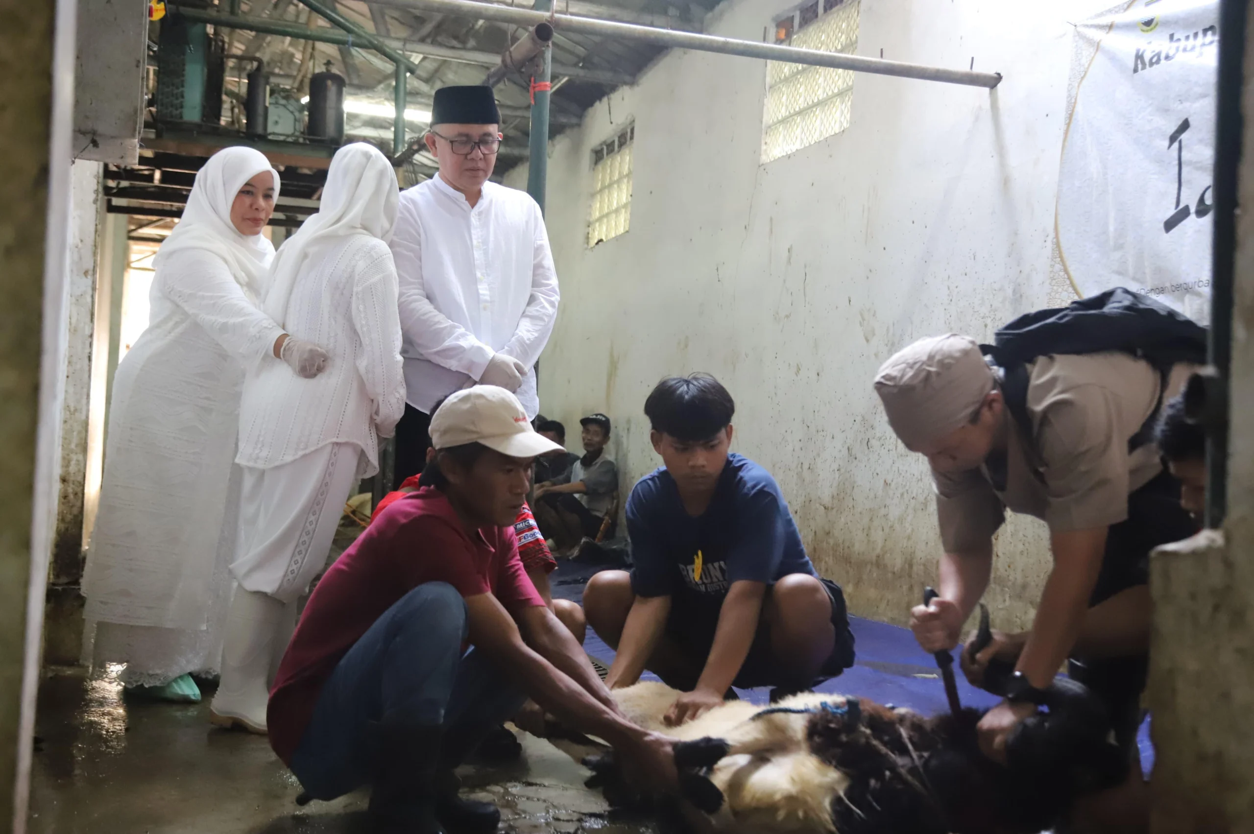 Pj Bupati Bandung Barat, Ade Zakir saat melihat secara langsung proses penyembelihan hewan kurban di RPH KBB. Senin (17/6). Foto Jabar Ekspres/wit