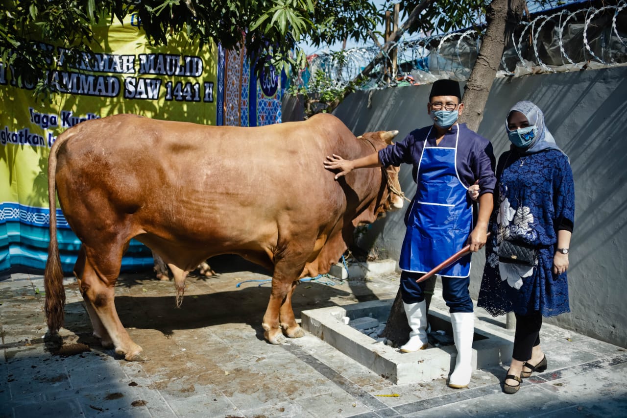 Peternak Kambing Ini Banjir Pembeli Dari Berbagai Daerah, Sukses Kembangkan Usaha Berkat Pemberdayaan BRI