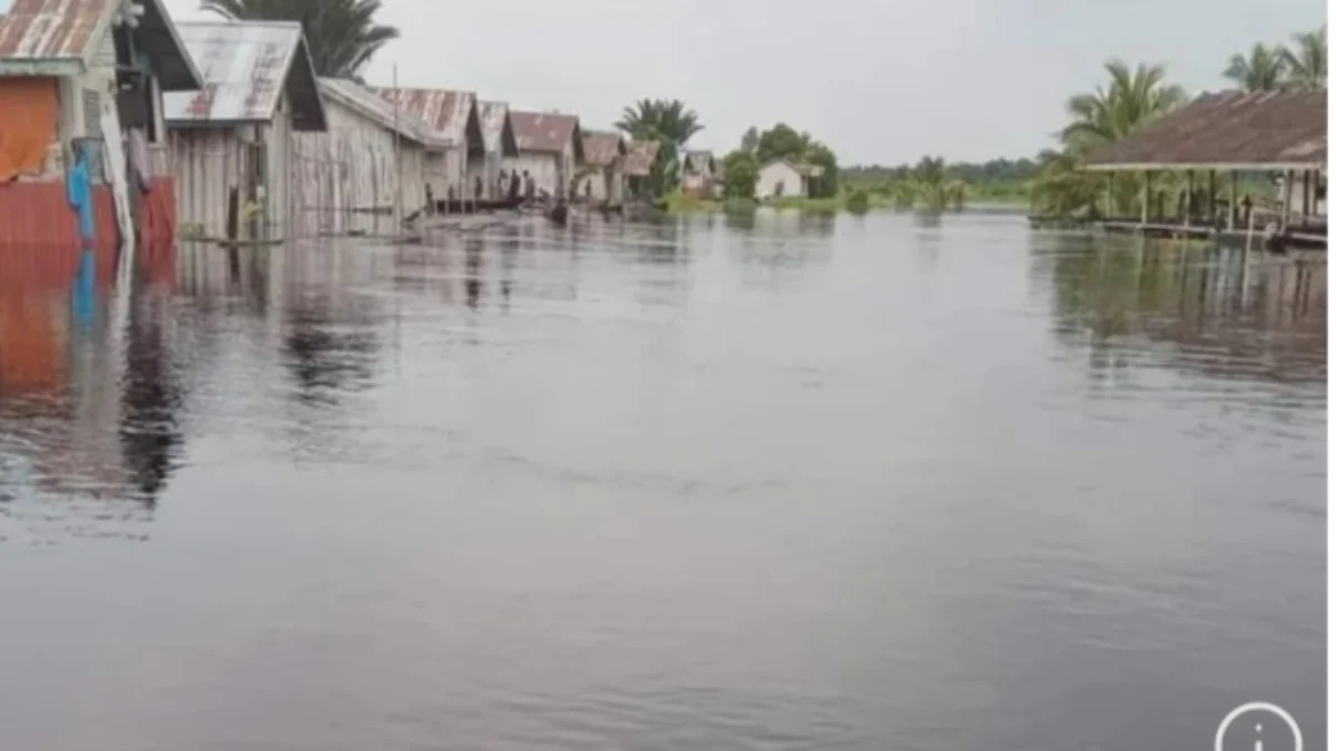 Rumah warga di Distrik Kokoda Utara direndam banjir. Foto/ANTARA