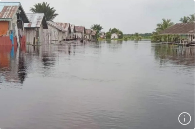 Rumah warga di Distrik Kokoda Utara direndam banjir. Foto/ANTARA