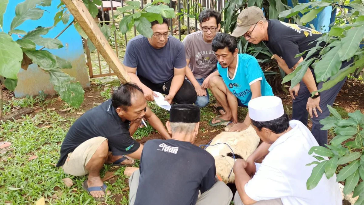 Perwakilan pengurus PWI Kota Bogor saat menyaksikan proses pemotongan hewan kurban di Sekretariat PWI Kota Bogor, Selasa (18/6). (Yudha Prananda / Jabar Ekspres)