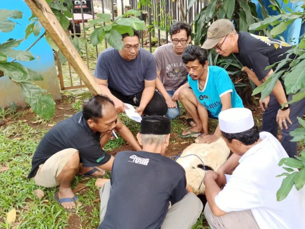 Perwakilan pengurus PWI Kota Bogor saat menyaksikan proses pemotongan hewan kurban di Sekretariat PWI Kota Bogor, Selasa (18/6). (Yudha Prananda / Jabar Ekspres)