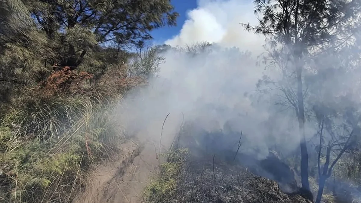 Asap mengepul dari area terdampak kebakaran hutan dan lahan di kawasan Savana Widodaren Taman Nasional Bromo Tengger Semeru, Kabupaten Pasuruan, Jawa Timur, Kamis (20/6/2024). (ANTARA/HO-MPA Ngadas.)