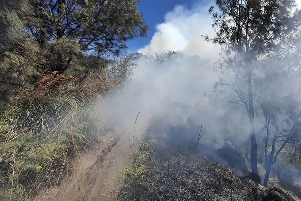 Asap mengepul dari area terdampak kebakaran hutan dan lahan di kawasan Savana Widodaren Taman Nasional Bromo Tengger Semeru, Kabupaten Pasuruan, Jawa Timur, Kamis (20/6/2024). (ANTARA/HO-MPA Ngadas.)