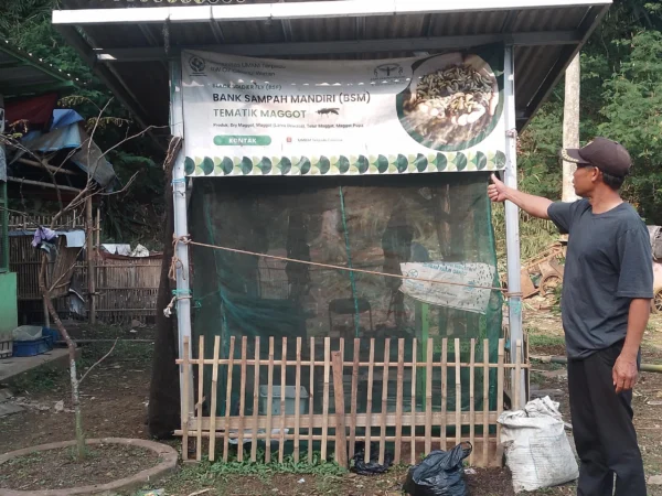 Ketua RW07 Desa Cileunyiwetan, Ade Juhana tengah menunjukkan tempat pengembang biakkan magot di area pengolahan sampah mandiri. (Yanuar/Jabar Ekspres)