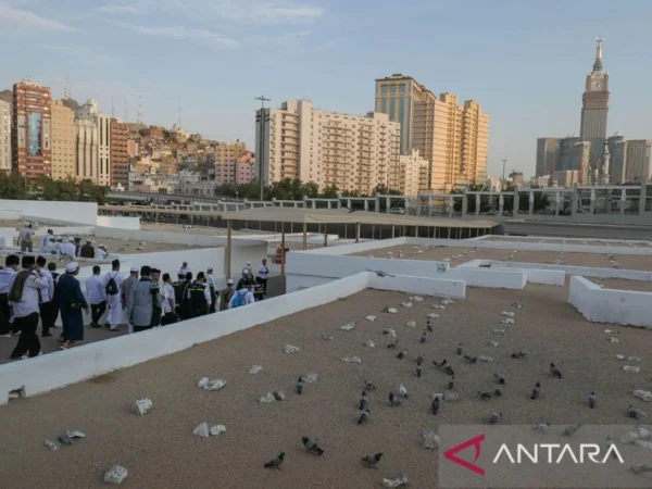 Arab Saudi Siap Buka Pintu 1000 Orang Lagi bagi Warga Palestina untuk Menunaikan Ibadah Haji 