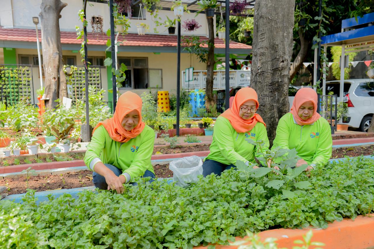 Kelompok Tani Ini Sulap Lahan Terbengkalai Jadi Produktif