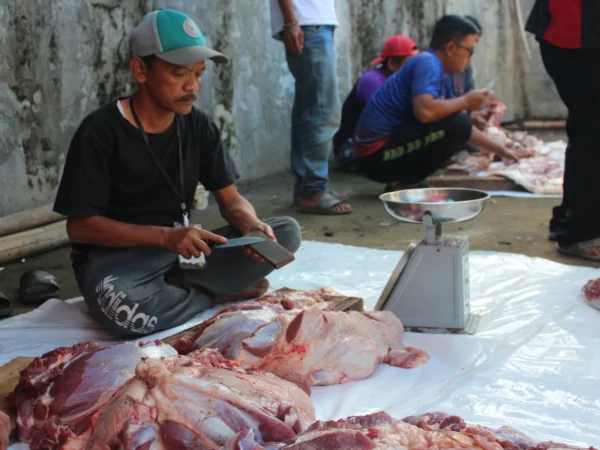 Ilustrasi: Proses pencacahan daging kurban sebelum dikemas. (Pandu Muslim/Jabar Ekspres)