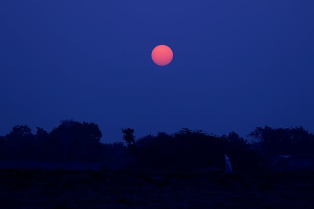 Ilustrasi Strawberry Moon yang terjadi Juni 2024/Pexels/ Ankit Rainloure