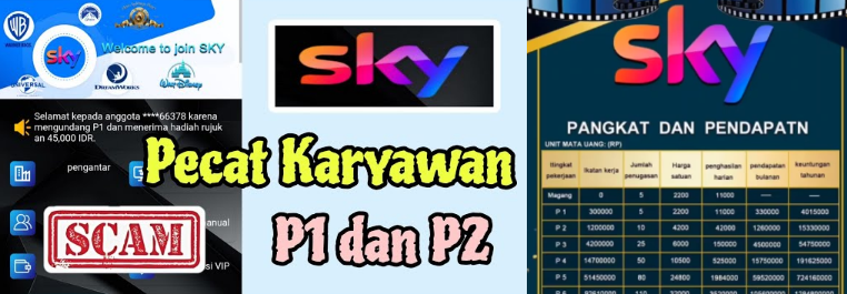 Sebentar Lagi Aplikasi SKY Akan Kabur, Begini Nasib Karyawan P1 Dan P2