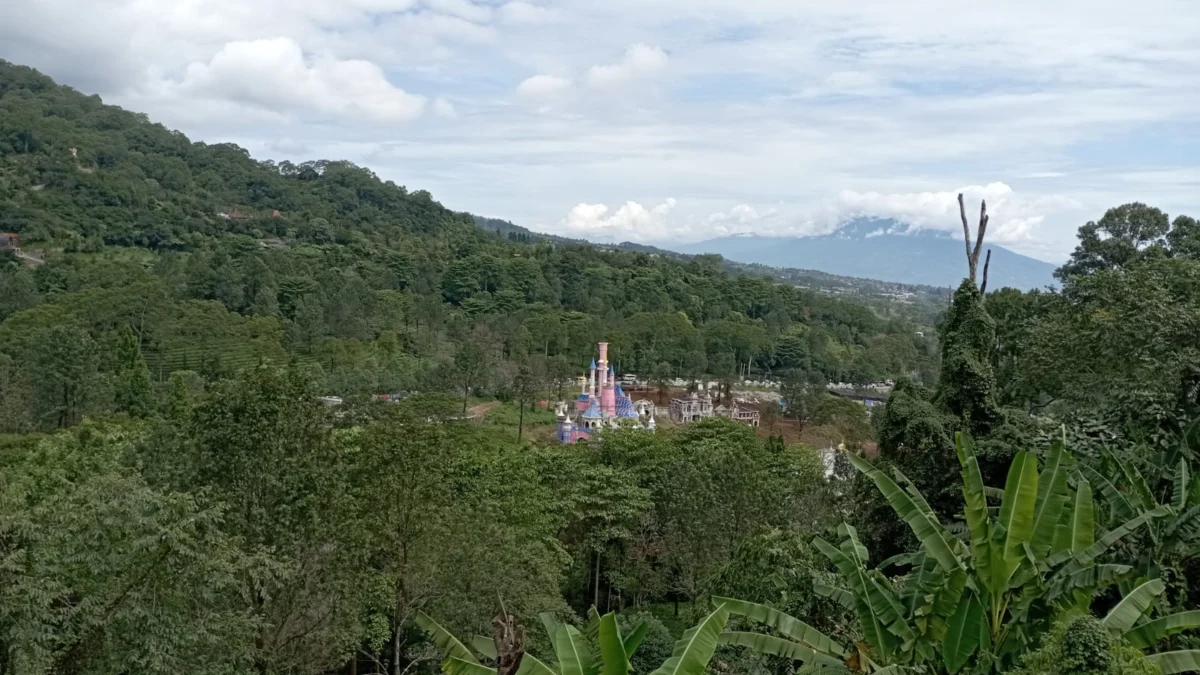 Potret alam Puncak, Kabupaten Bogor. (Sandika Fadilah/Jabar Ekspres)