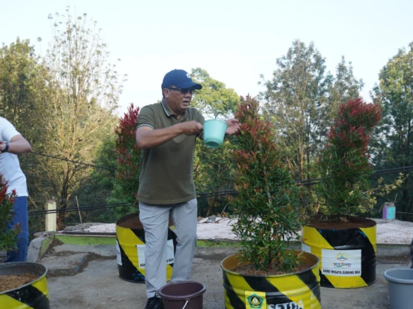 Pemkab Bogor tanam seribu pohon di kawasan Puncak