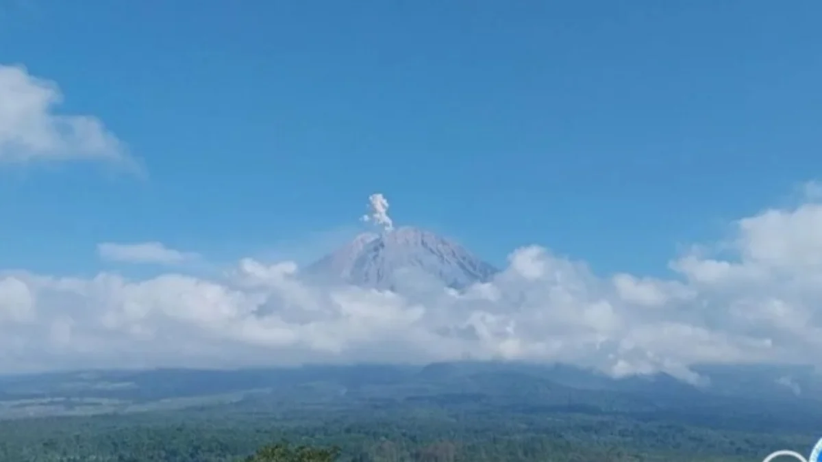 Gunung Semeru erupsi yang terpantau dari Pos Pengamatan Gunung Semeru di Lumajang, Minggu (21/7). (foto/ANTARA)