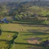 Mengenal Desa Angseri, Desa BRILiaN dengan Tata Kelola Terbaik