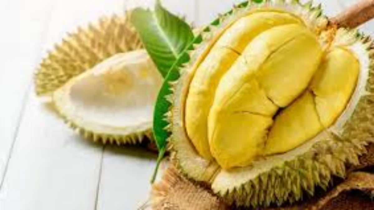 Durian, buah yang dikenal dengan aroma khas dan rasa manisnya, memang memiliki penggemar setia. Dengan daging buahnya yang lembut dan sedikit lembek