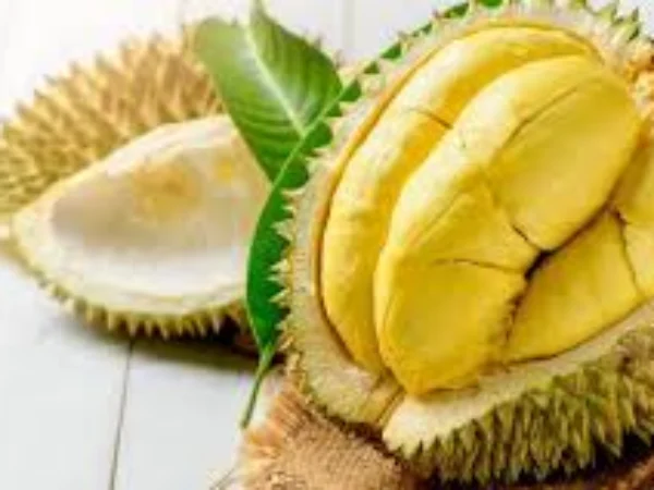 Durian, buah yang dikenal dengan aroma khas dan rasa manisnya, memang memiliki penggemar setia. Dengan daging buahnya yang lembut dan sedikit lembek