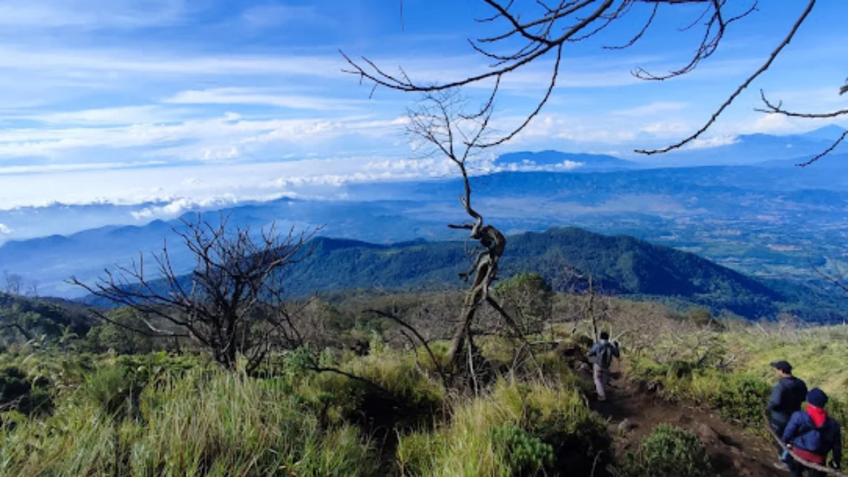 4 Wisata Kawasan Taman Nasional di Jawa Barat yang Wajib Dikunjungi, Surga bagi Pecinta Alam dan Petualangan