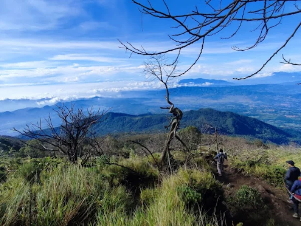 4 Wisata Kawasan Taman Nasional di Jawa Barat yang Wajib Dikunjungi, Surga bagi Pecinta Alam dan Petualangan